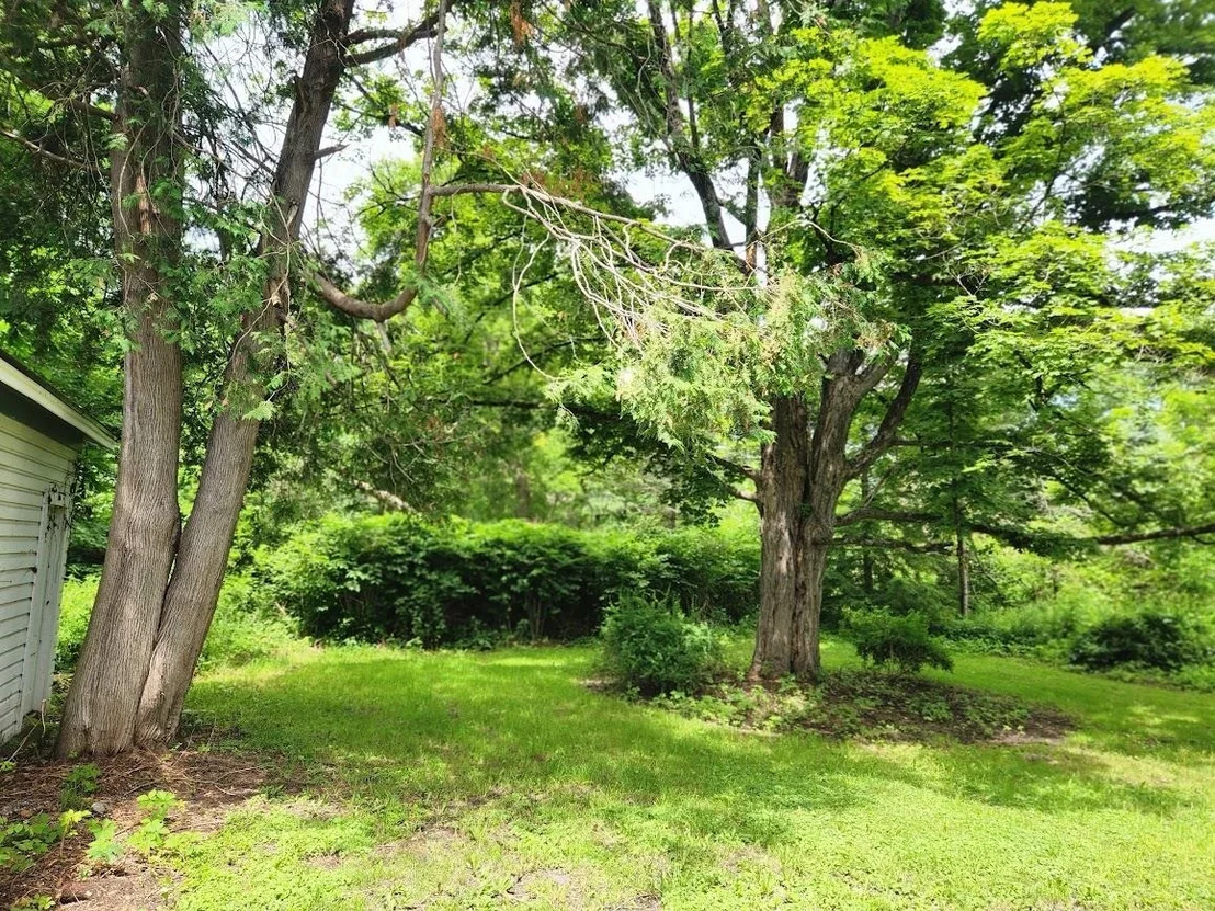 Photo of 115 River