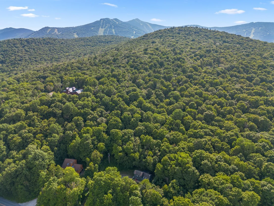 Photo of 1990 East Mountain