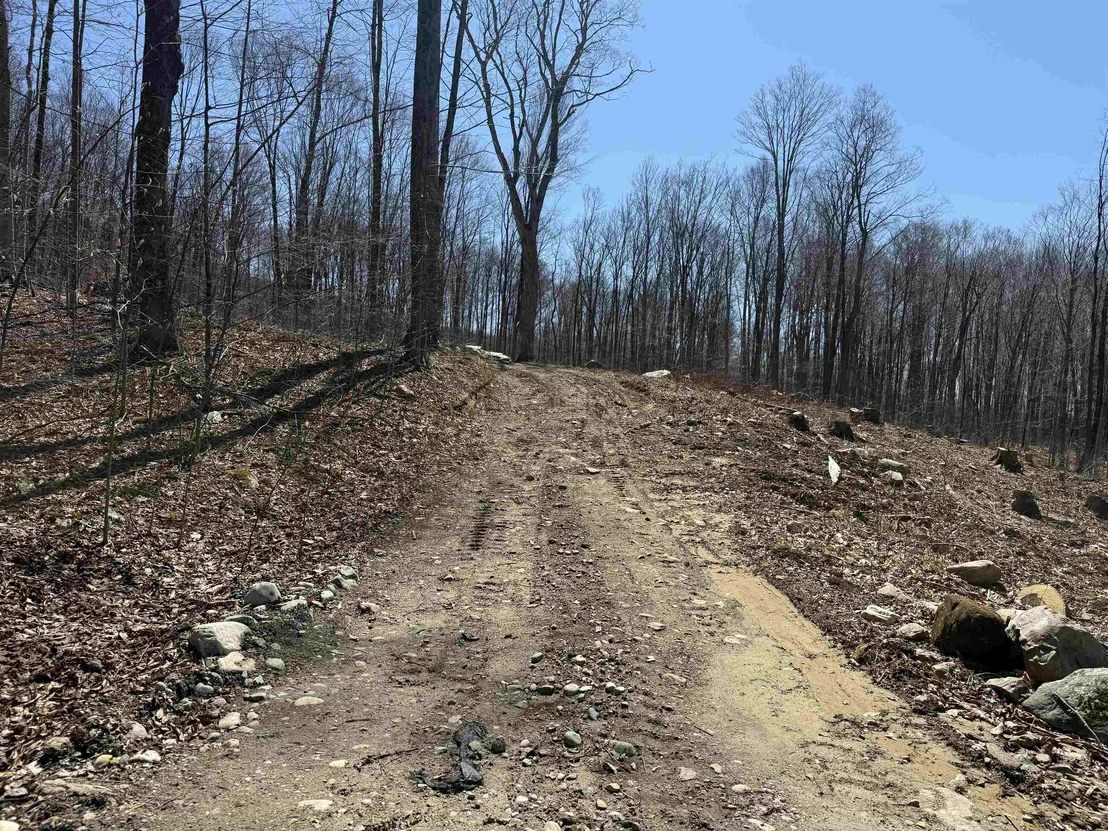 Photo of 0 Rocky