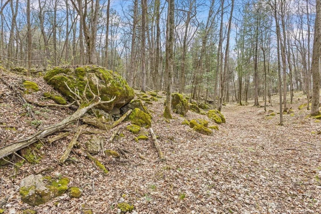 Photo of Unit LOT1 at 0 Bullock