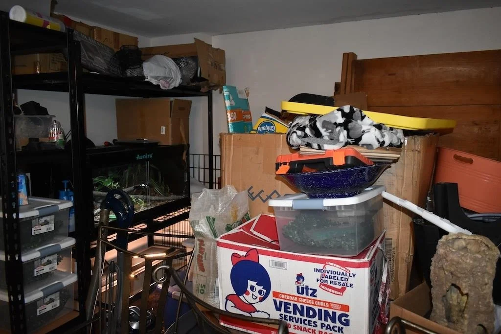 Photo of 133 Mount Delight