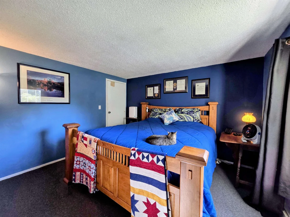 Photo of 255 Gray