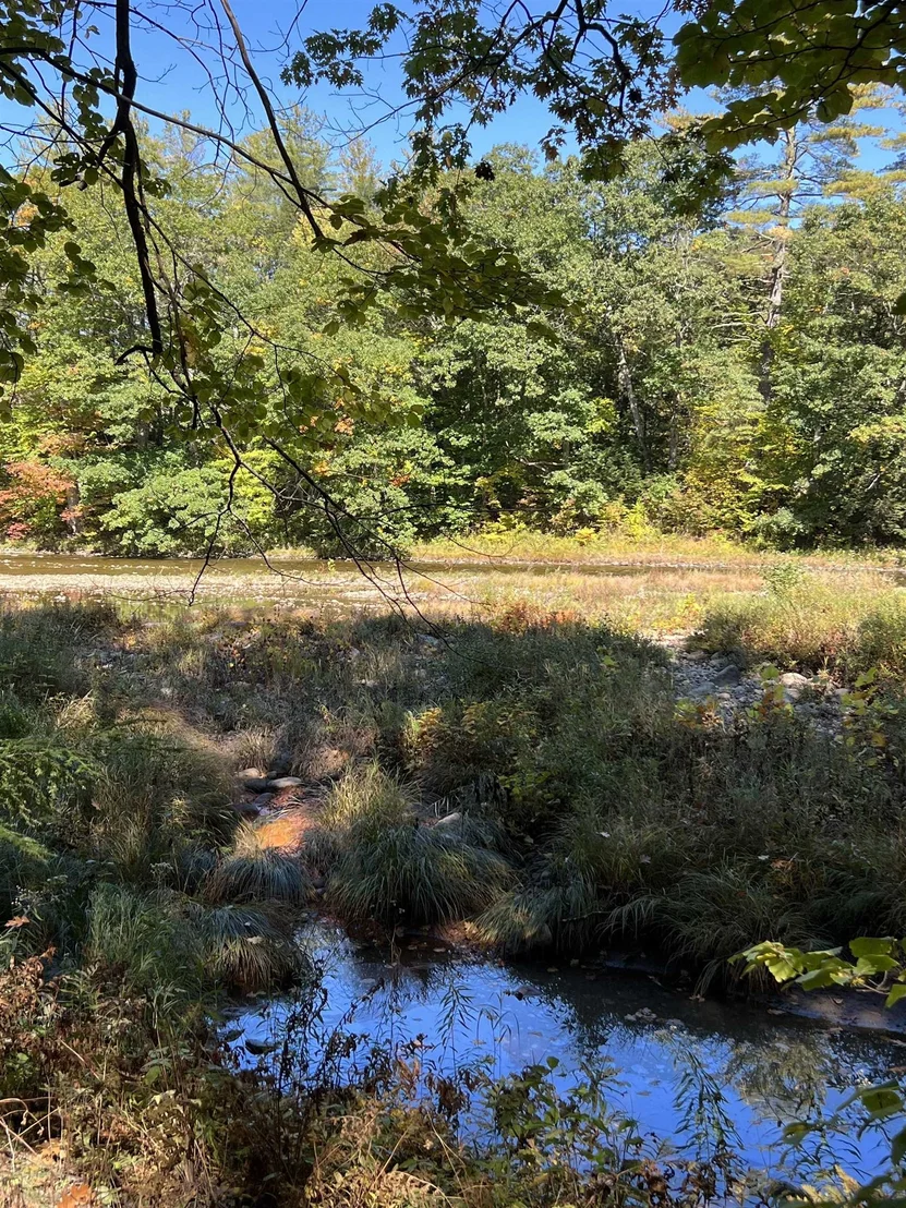 Photo of 1297 River
