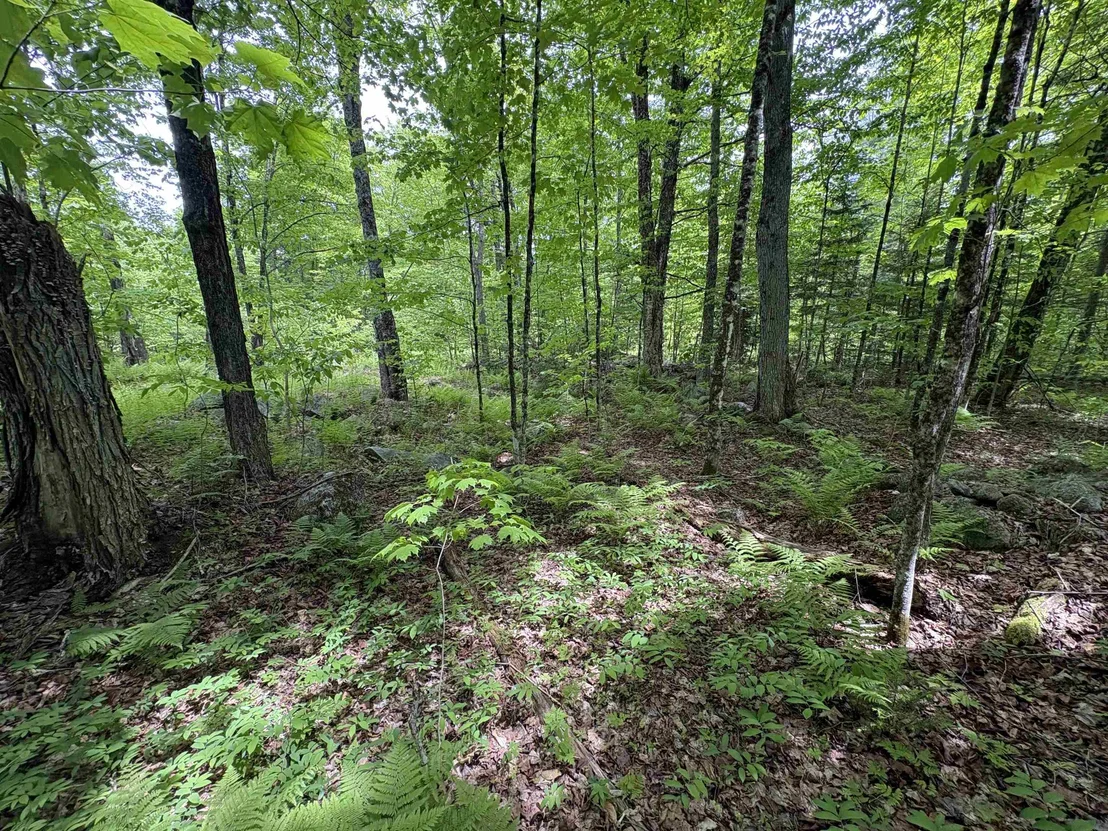 Photo of 0 Old Pond Hill