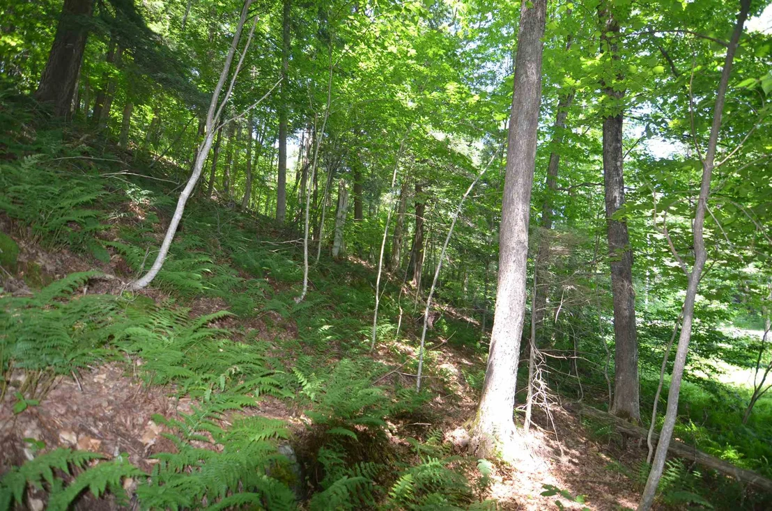 Photo of 1336 Route 100