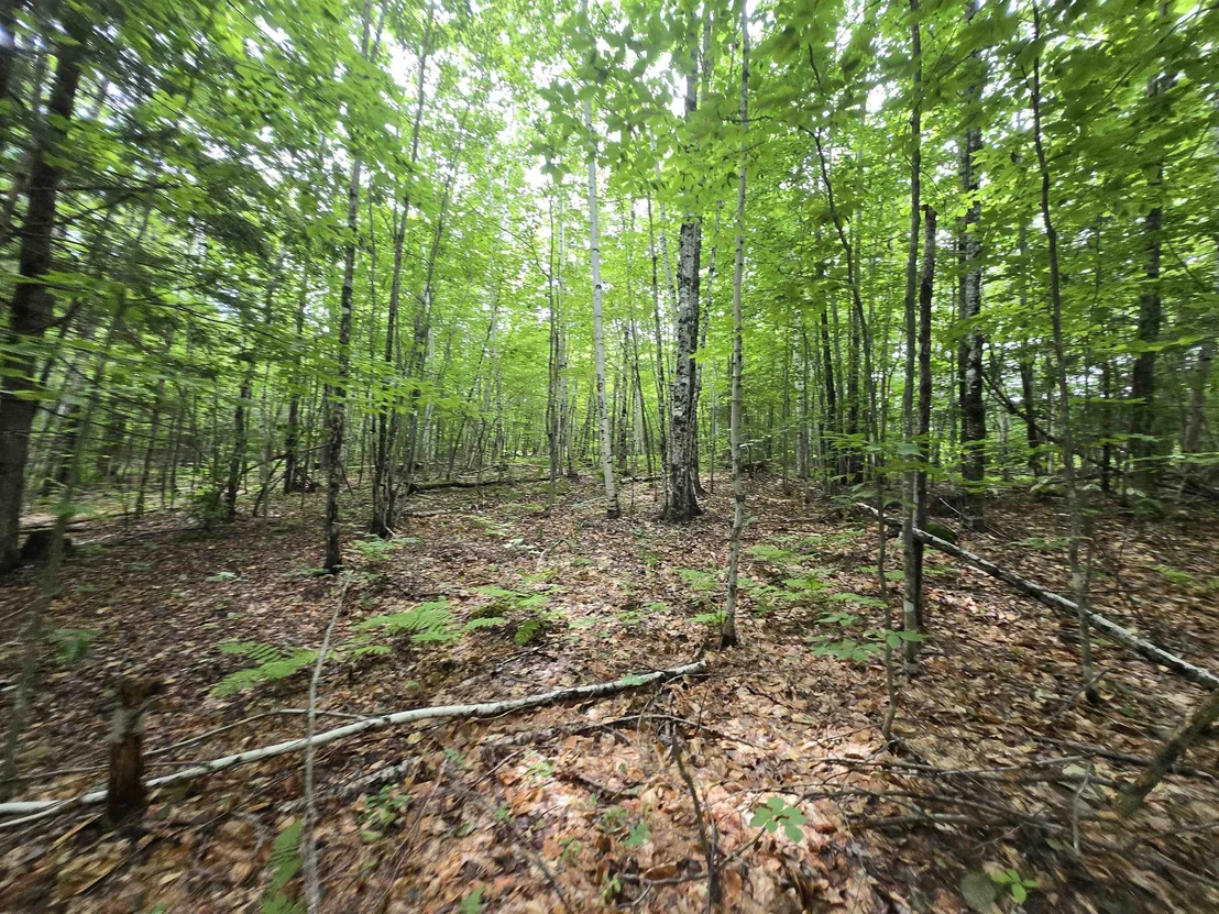 Photo of Lot 11 Brownfield