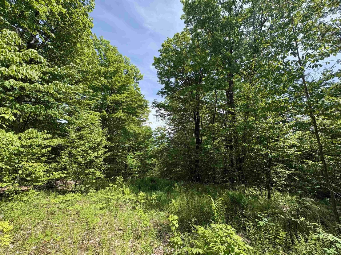 Photo of 0 Old Pond Hill