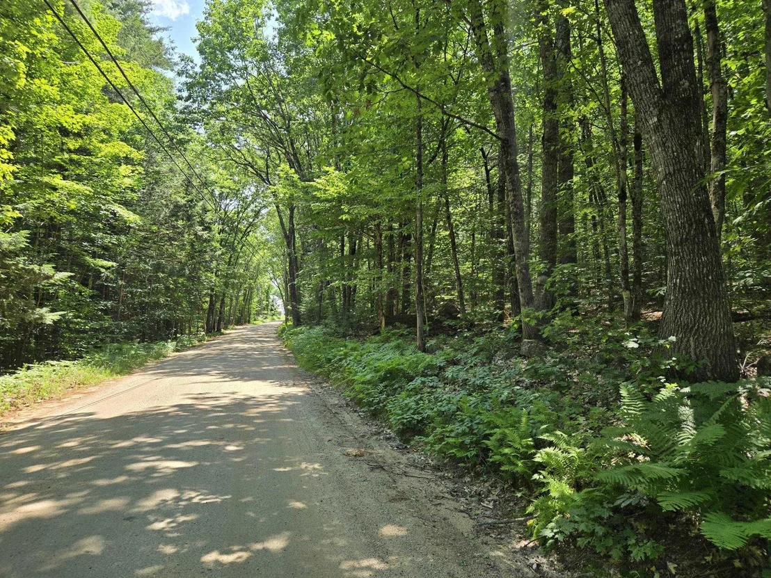 Photo of Lot 26 Davis Hill