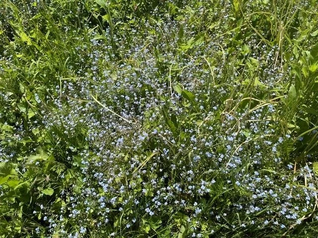 Photo of 98 Greenleaf