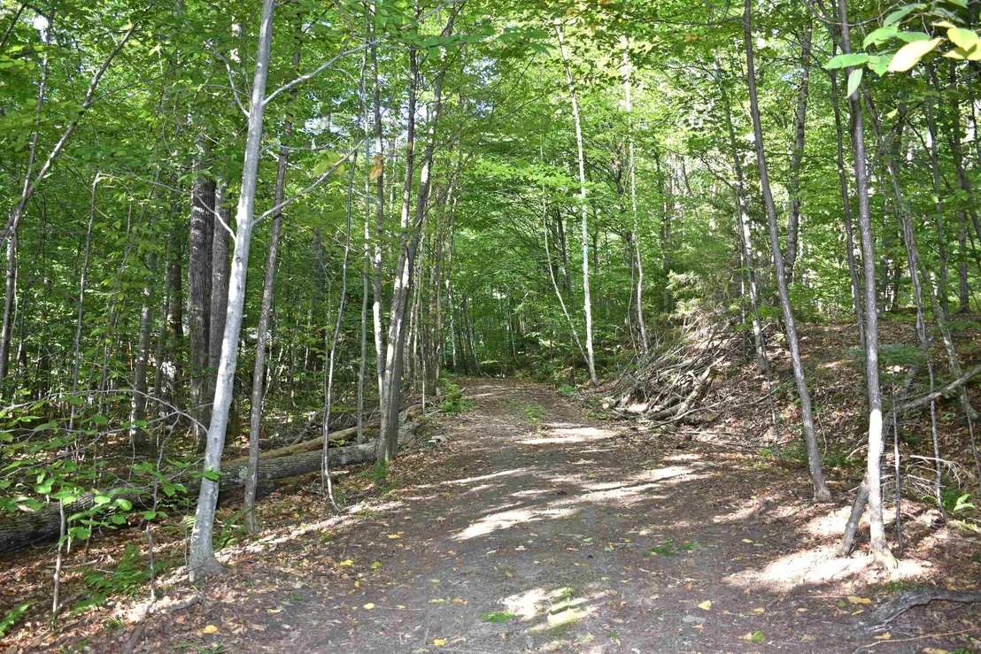 Photo of 397 Winch Hill