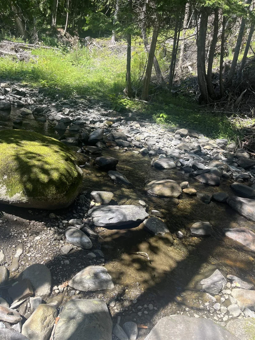 Photo of 1230 Roaring Brook