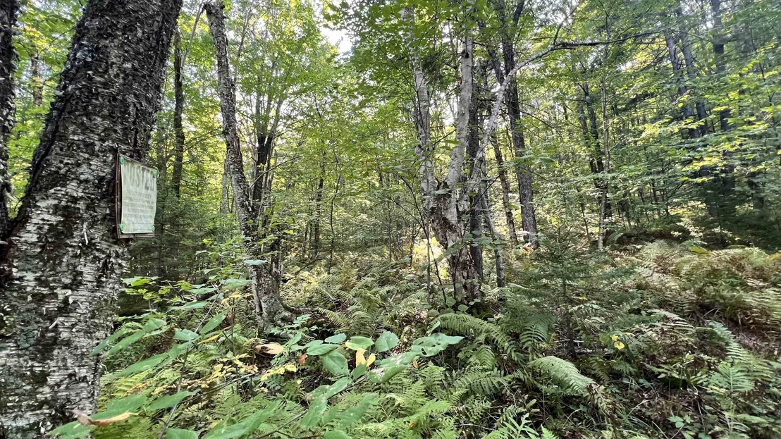 Photo of 2075 Codding Hollow