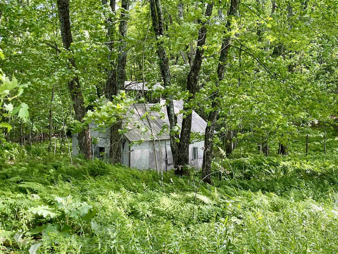Photo of 00 Old Farm