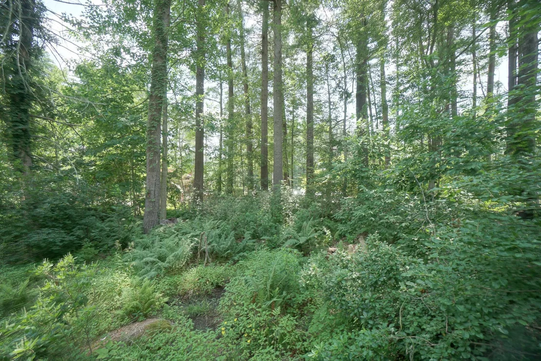 Photo of 12 Grove