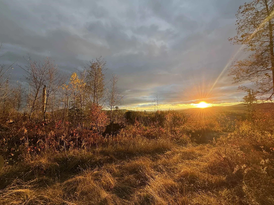 Photo of Lot 12 Page Hill