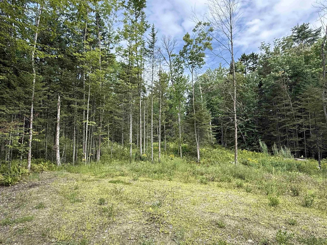 Photo of Lot 58 Pond Hill