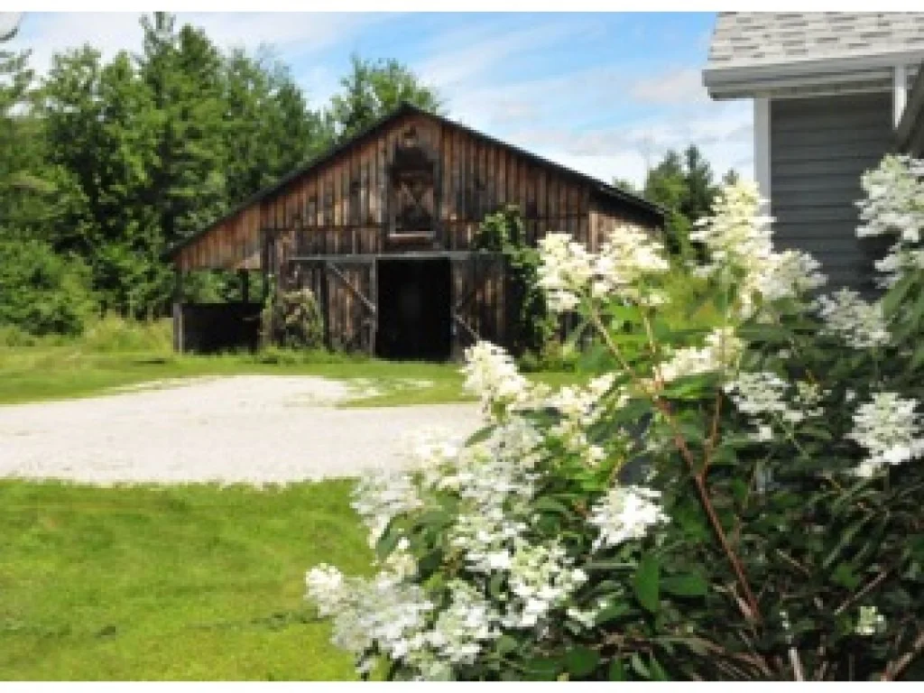 Photo of 53 Spafford