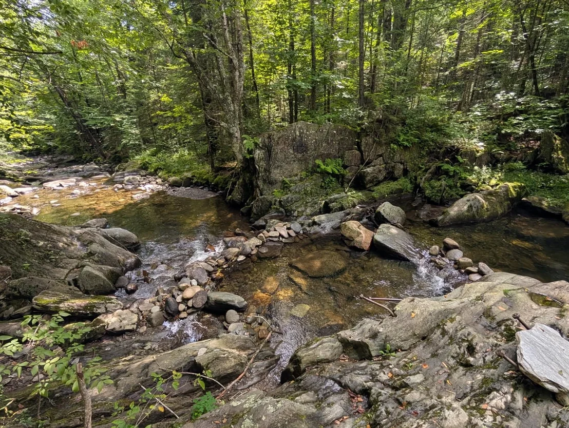 Photo of 195 Taft Brook