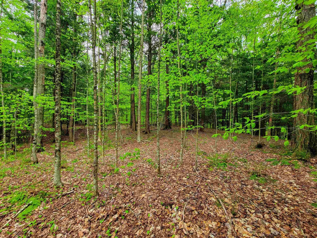 Photo of 167 High Meadow