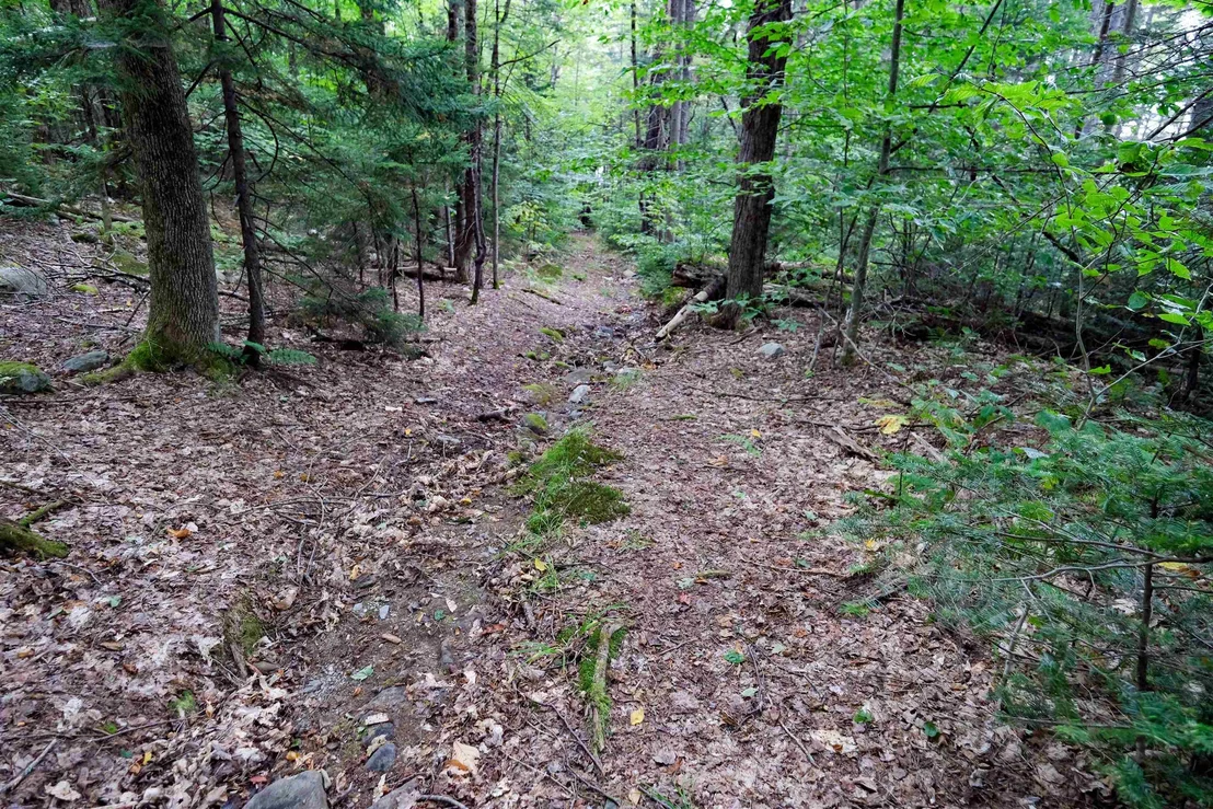 Photo of 00 Evergreen Acres
