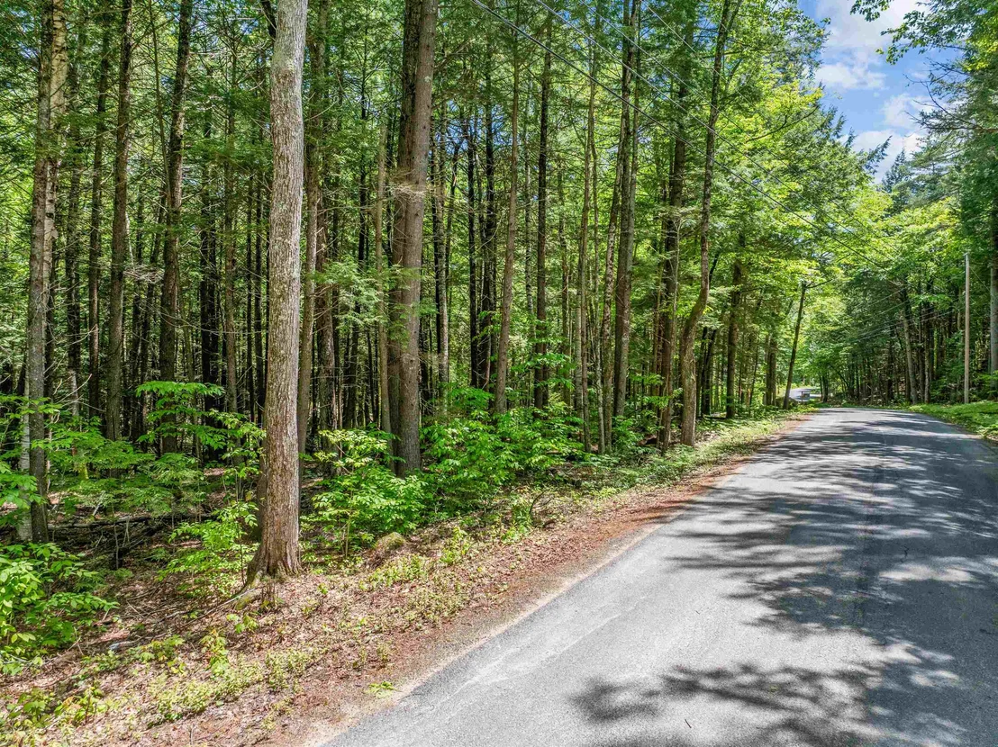 Photo of 47 Forest Pond