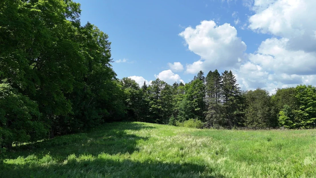 Photo of 00 Old Farm