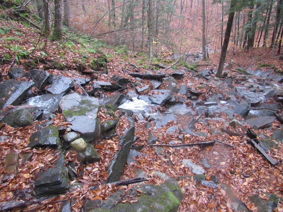 Photo of 6791 US Route 5