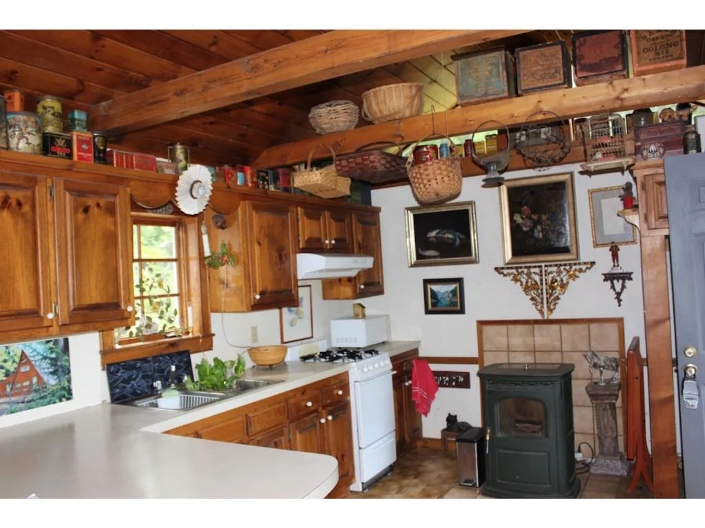 Photo of 3 Juniper