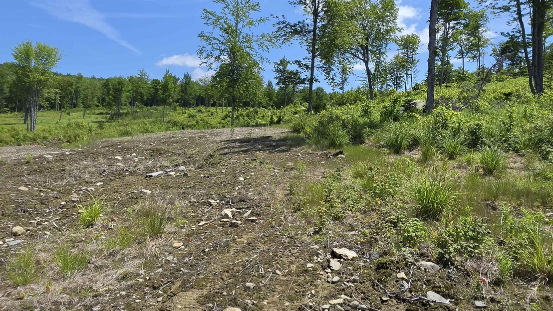 Photo of Map R6 Lot 1C Deer Crossing