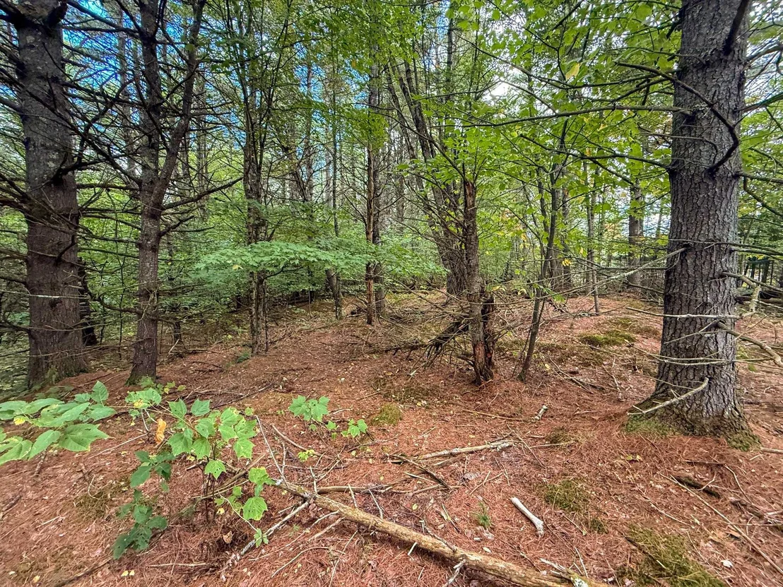 Photo of 526 New Hampshire Route 25c