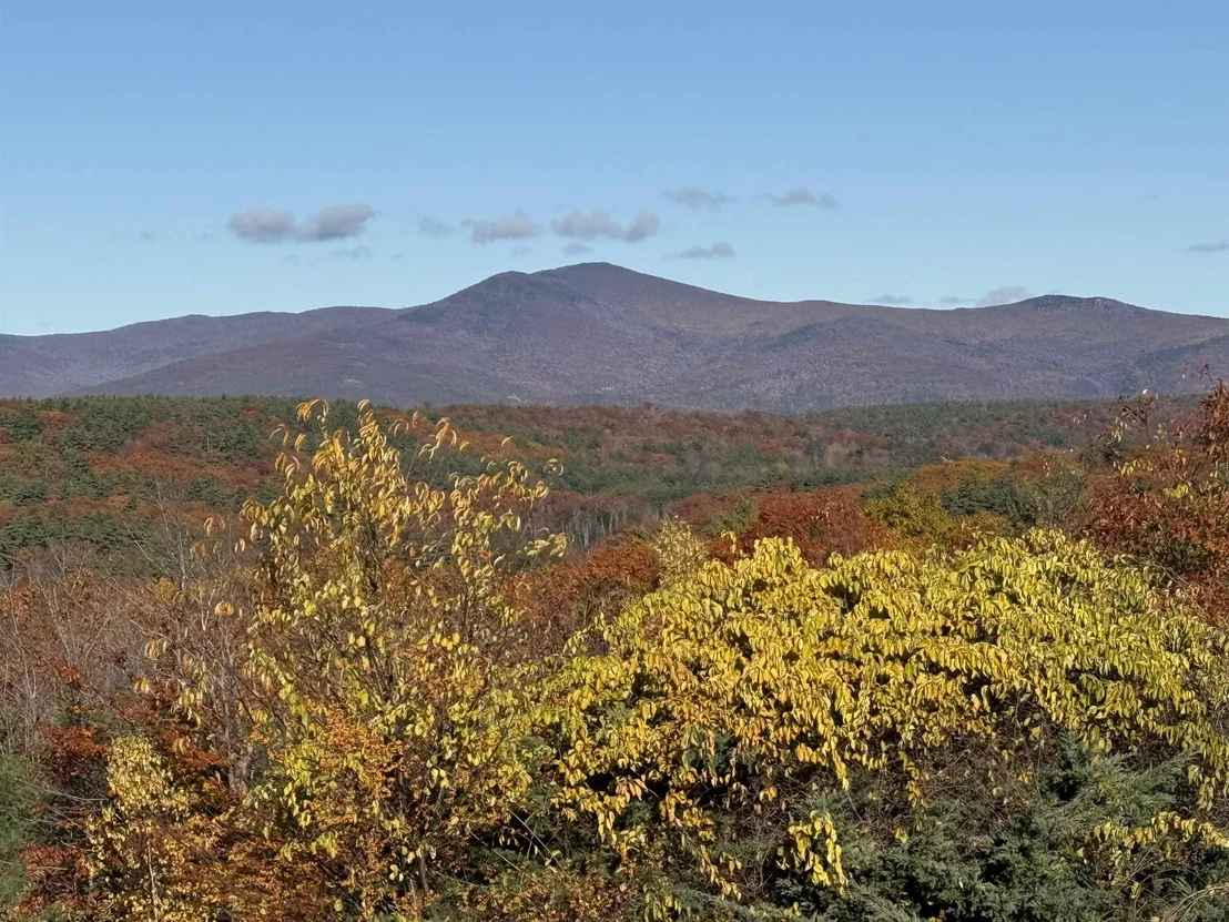 Photo of 36 Blueberry Hill