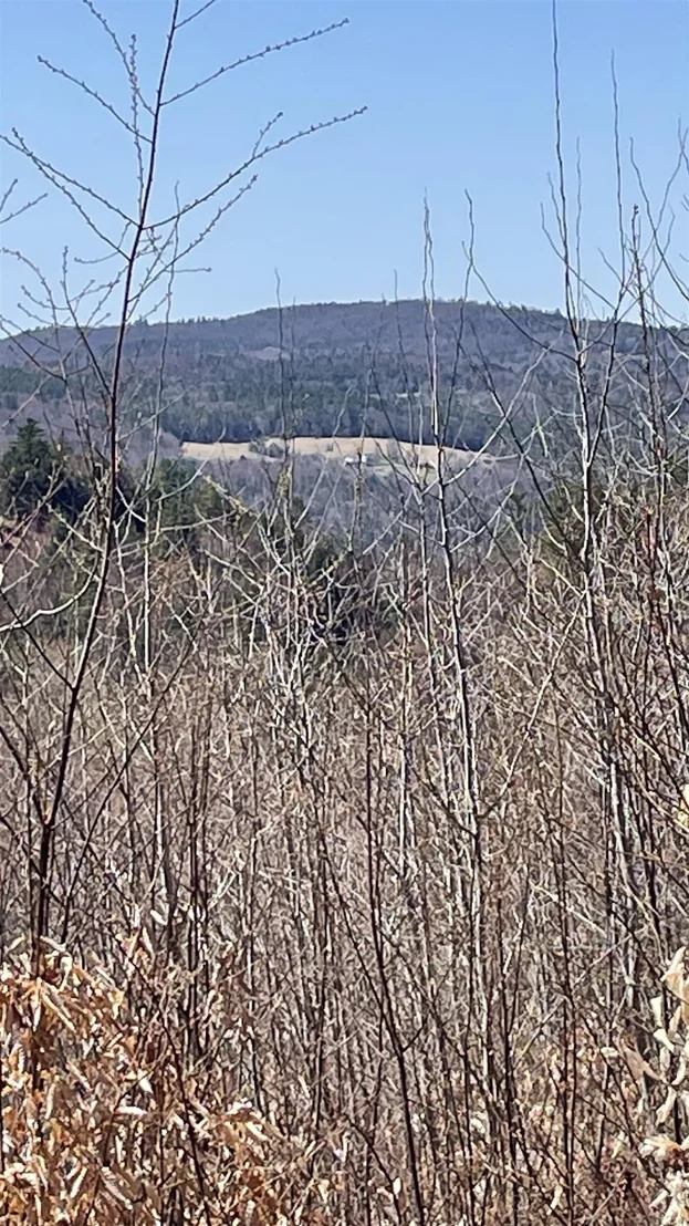 Photo of Unit LOT3 at 0 Oregon