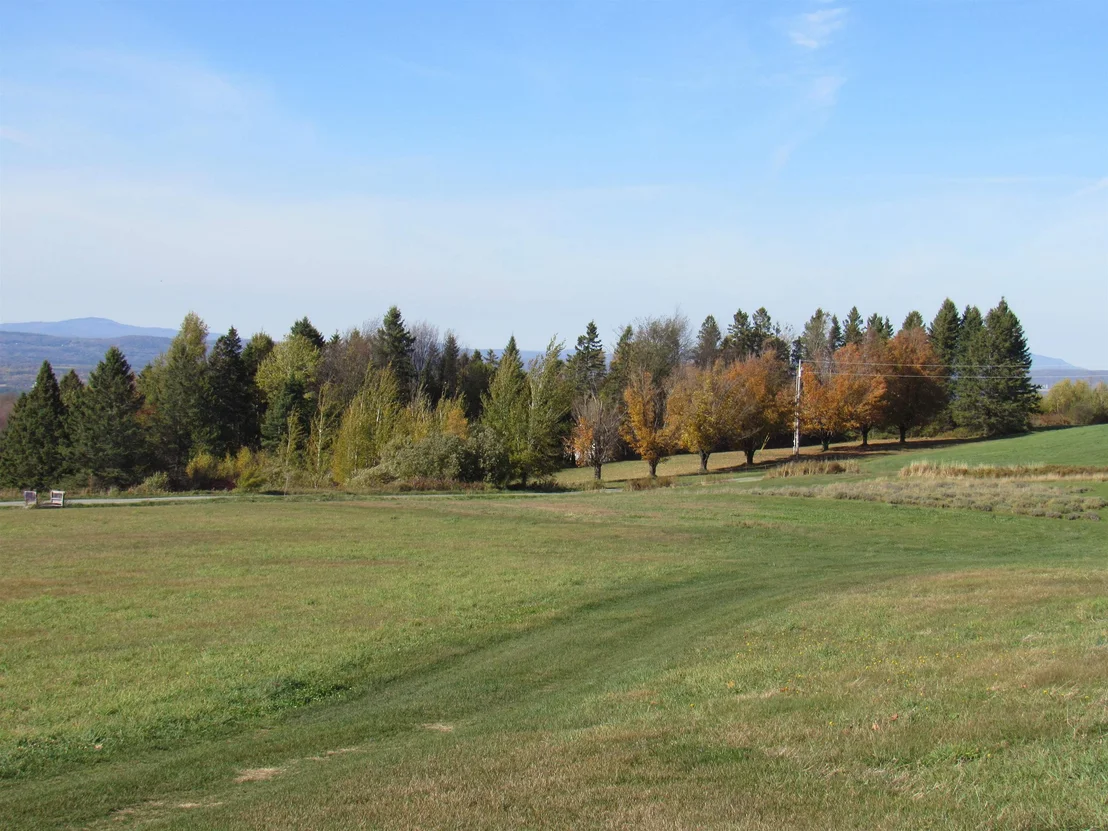 Photo of 2103 Herrick