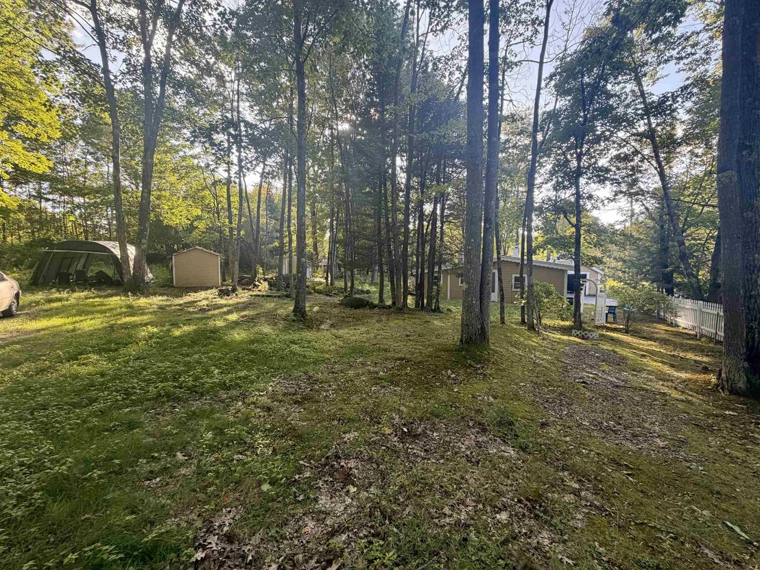 Photo of 97 Bradford