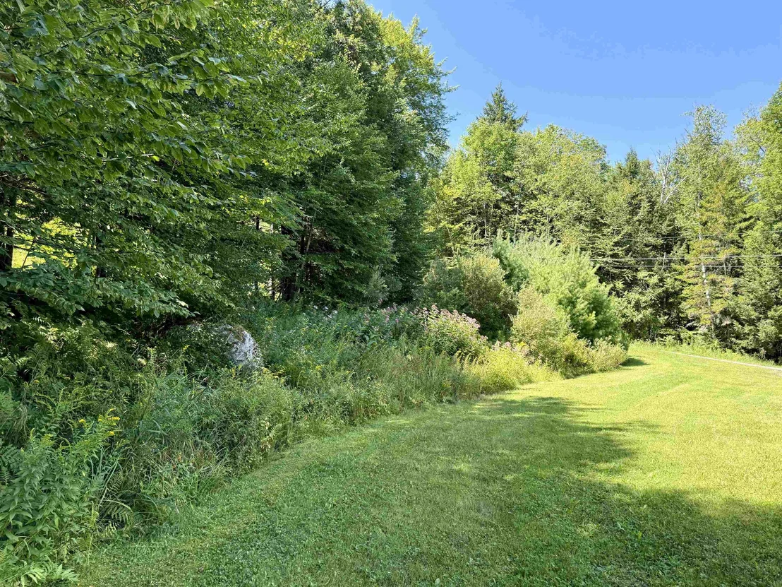 Photo of 3713 Trebo