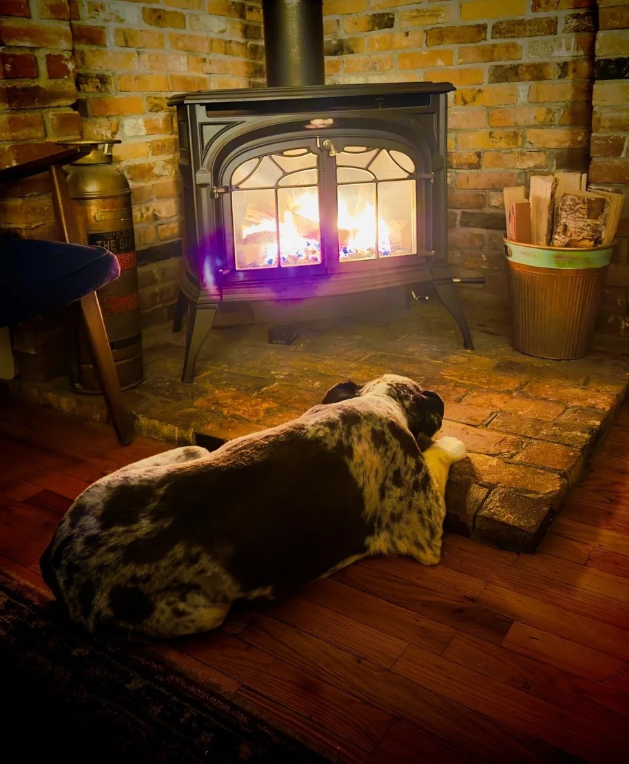 Photo of 412 Logan