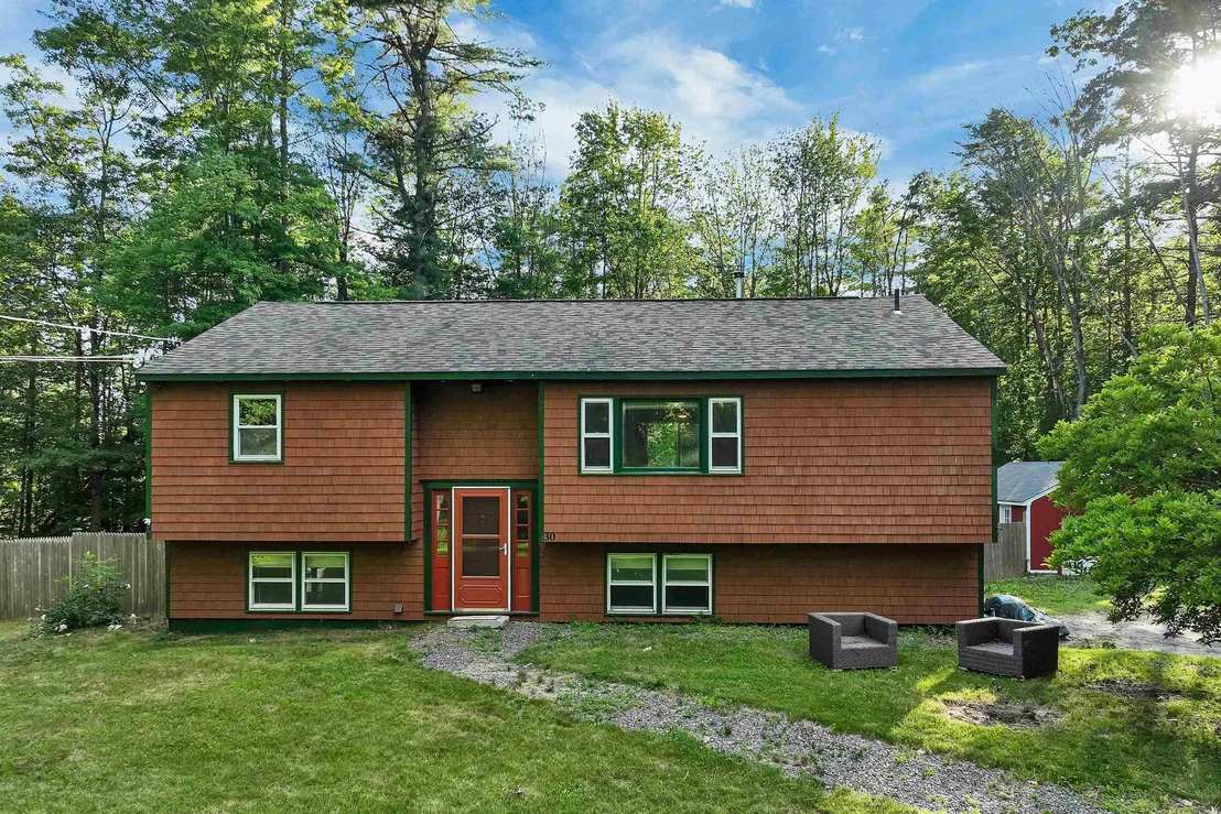 Photo of 30 Elderberry