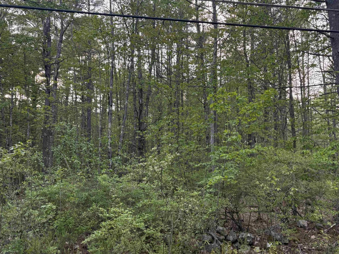 Photo of Lot 80 Currier