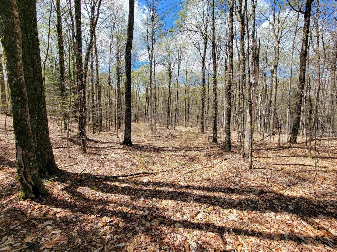 Photo of 667 Cemetery