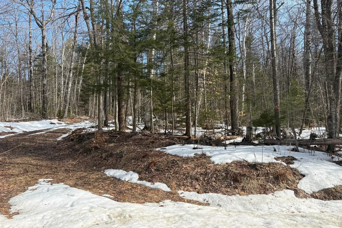 Photo of 360 Dorman