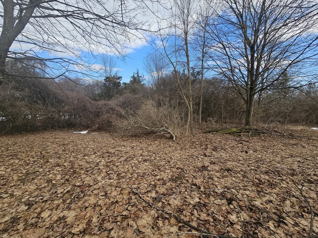 Photo of 3597 Lake