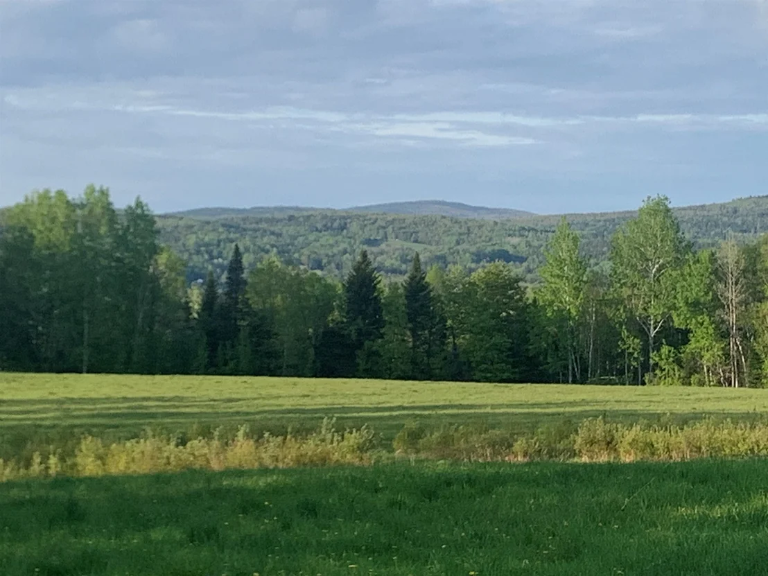 Photo of Lot 3 Titus Hill