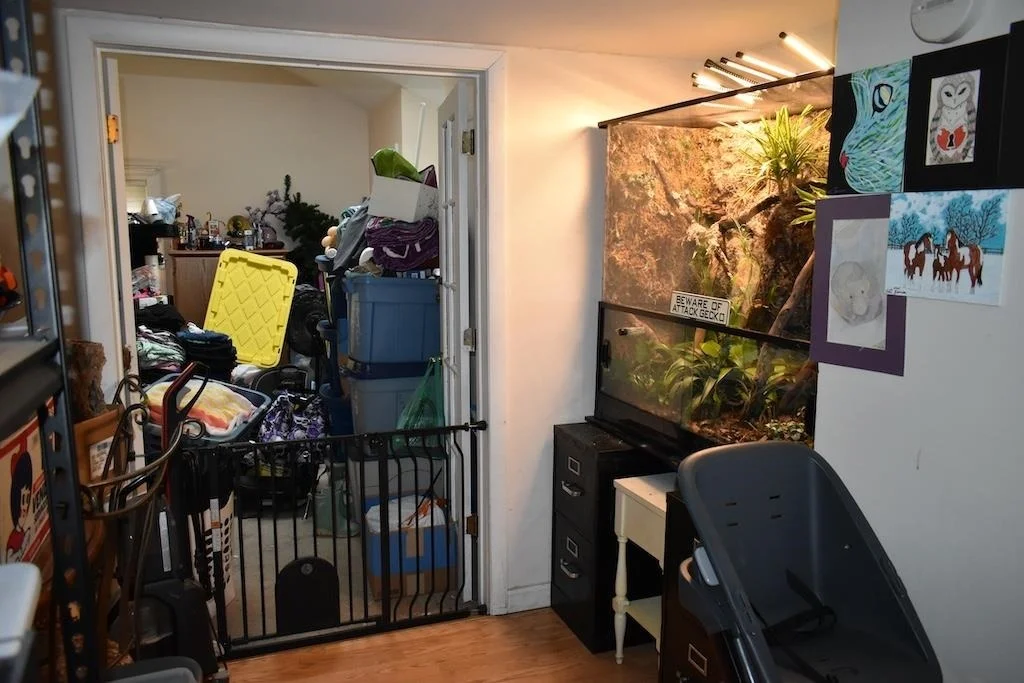 Photo of 133 Mount Delight