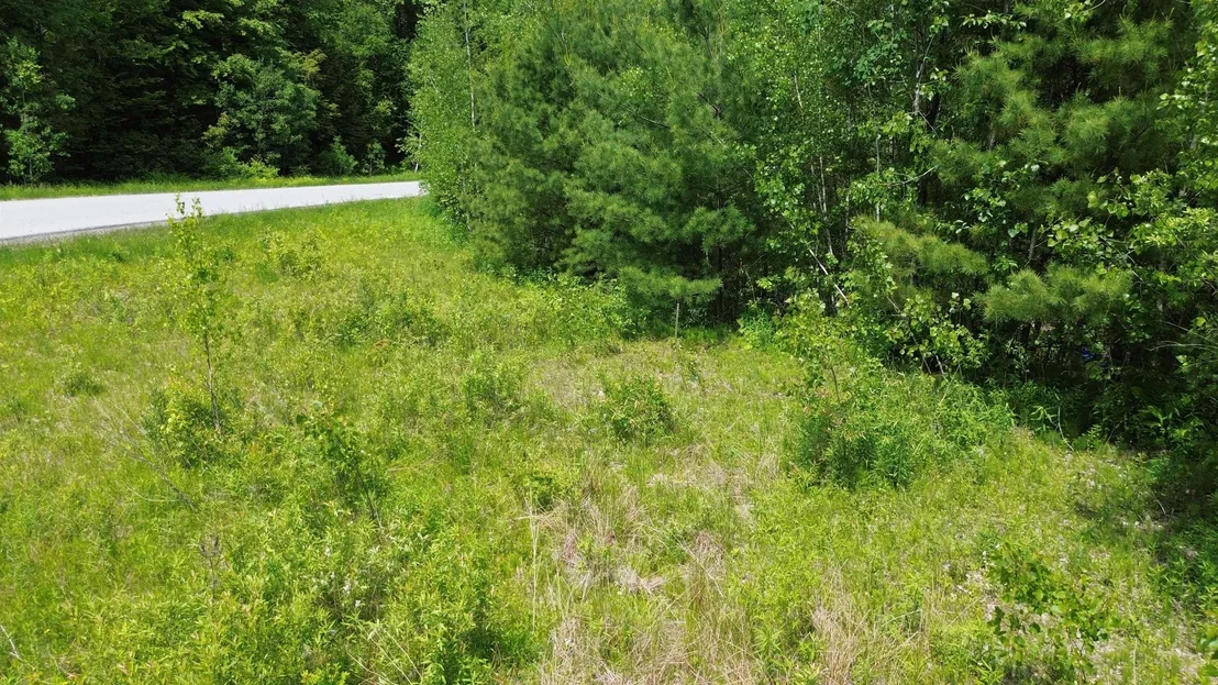 Photo of 20 Appletree
