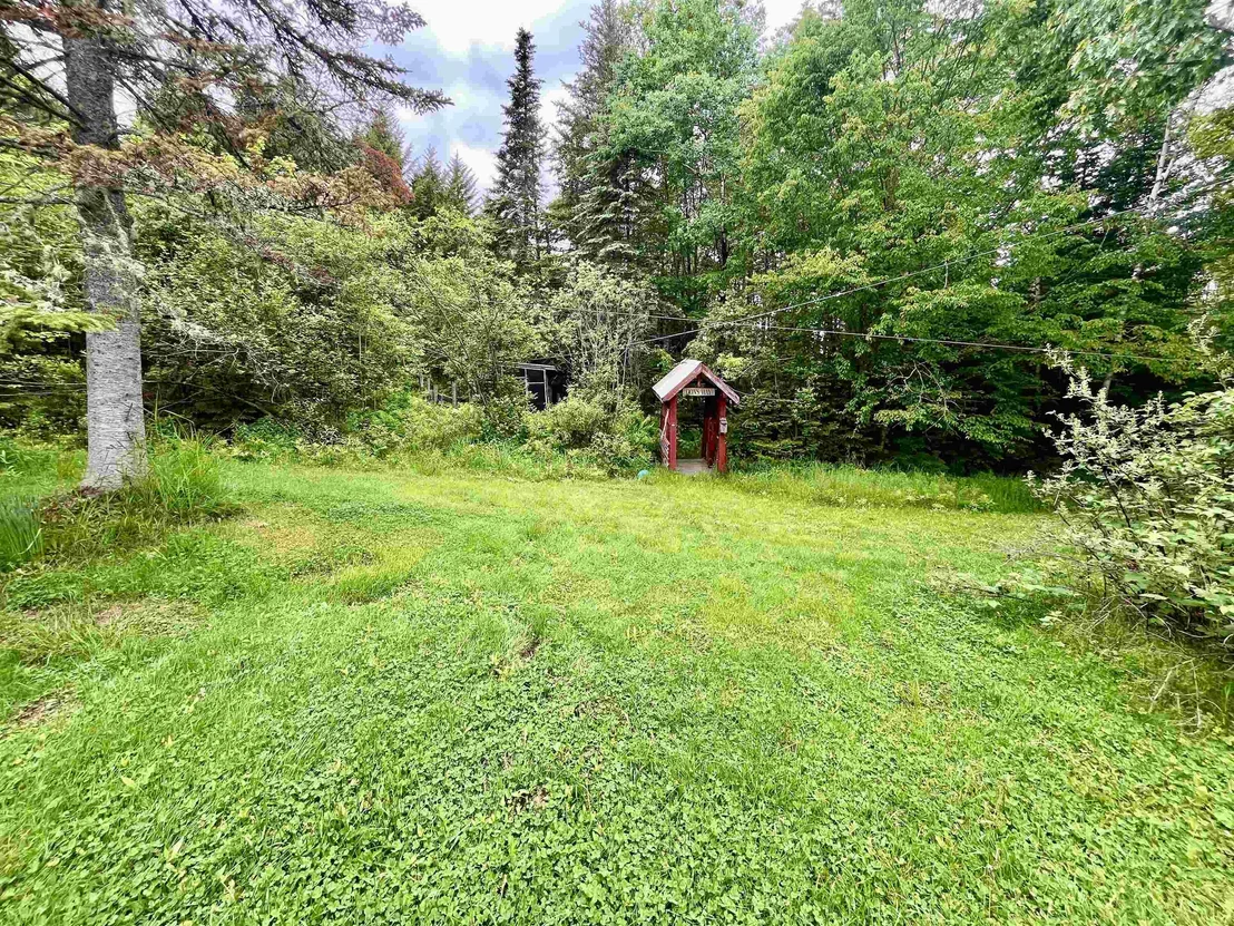 Photo of 204 Chickwolnepy