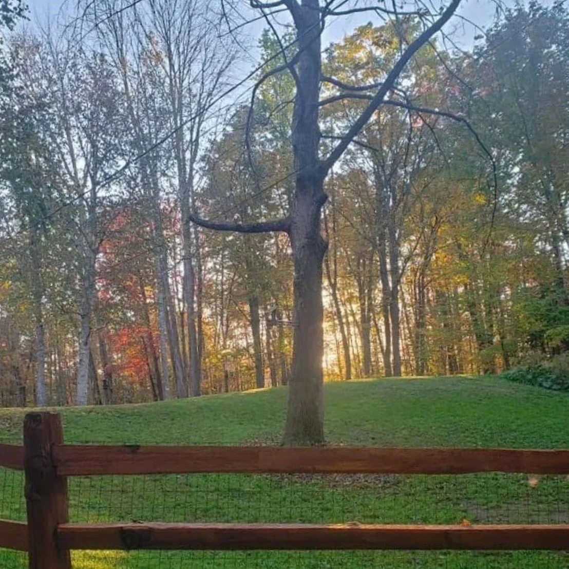 Photo of 321 Loudon