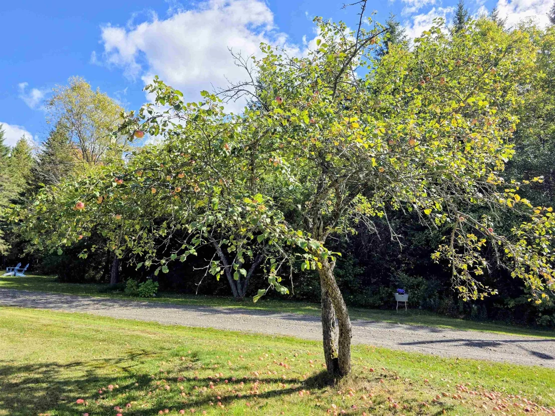 Photo of 255 Gray