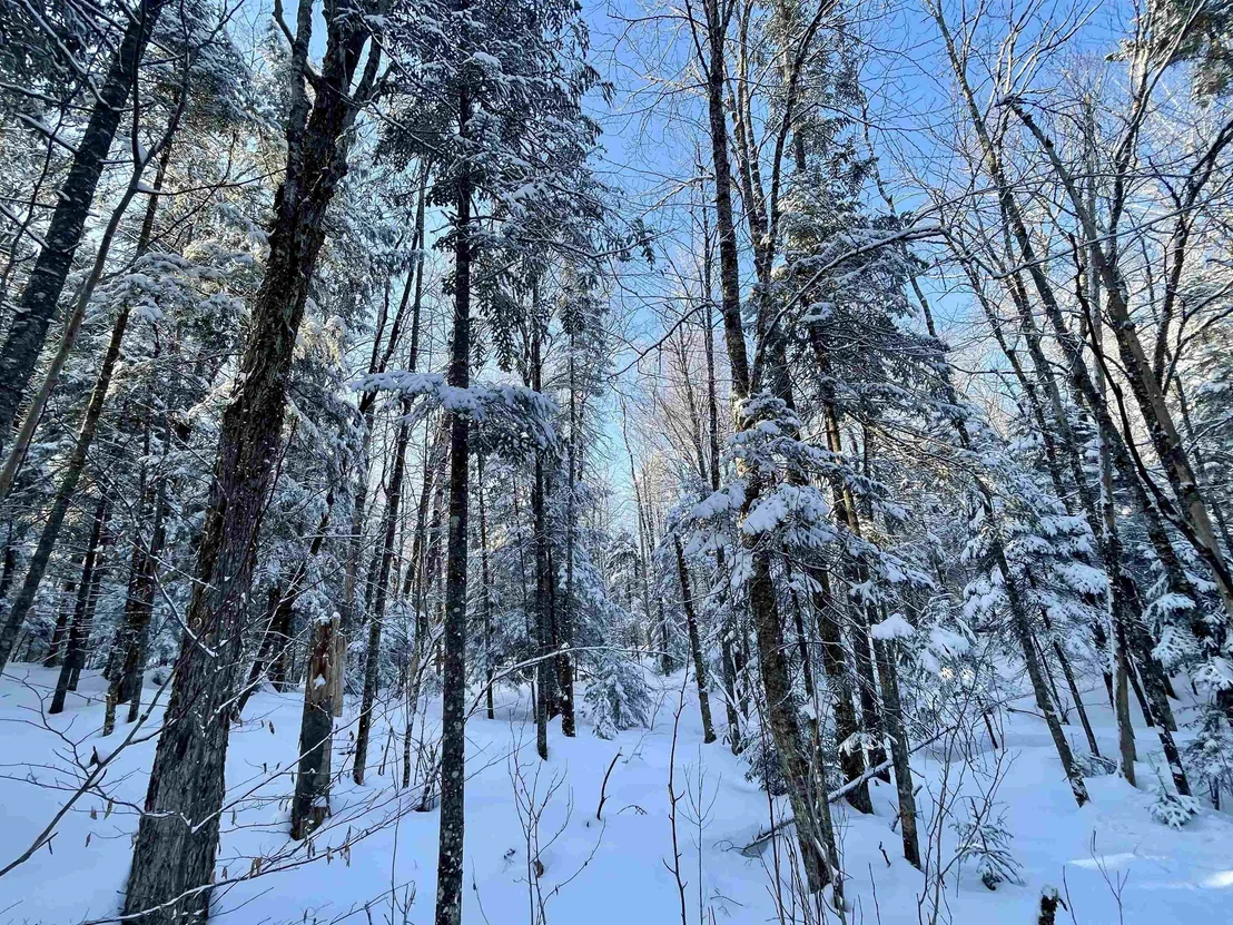 Photo of 00 Mountain