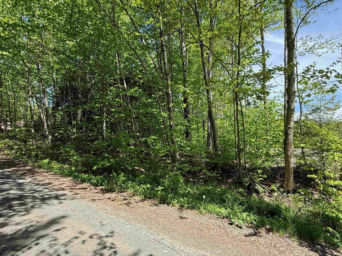 Photo of Lot 1 - 161 High Peak