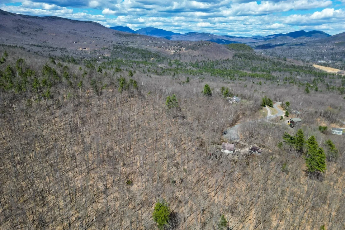 Photo of 46 Pickering